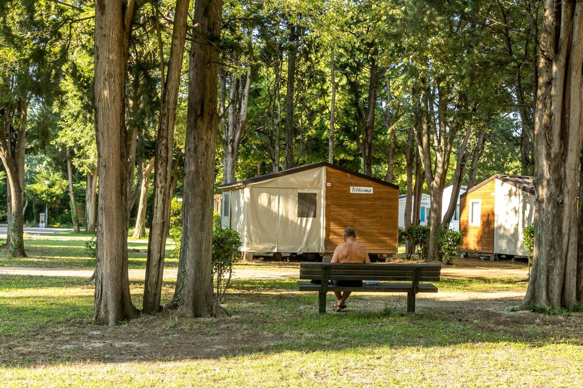 VivaCamp La Laune Villeneuve-lès-Avignon Esterno foto